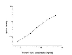 Novus Biologicals&trade;&nbsp;Human FABP7/B-FABP ELISA Kit (Colorimetric)